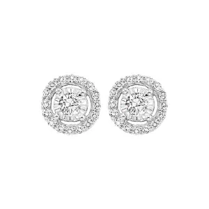 14KT White Gold & Diamond Fashion Earrings -1/3 ctw