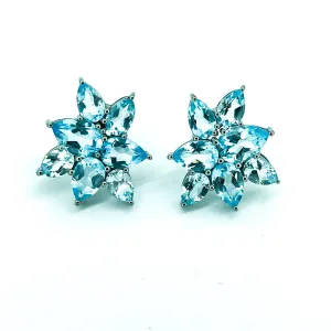 Classic Blue Topaz Earrings