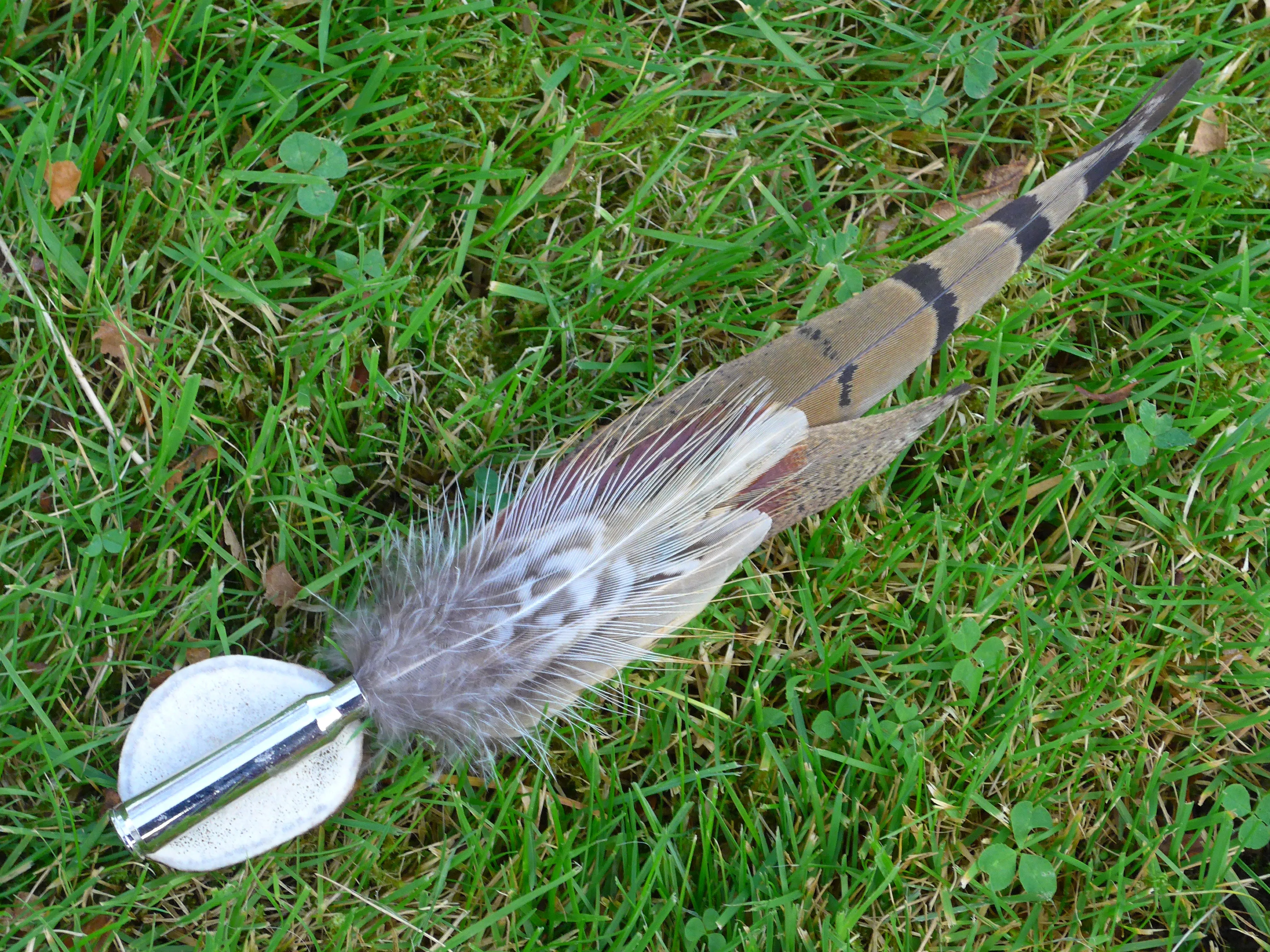 Long Natural Feather Hat Pin Set in Silver Bullet Case on Antler